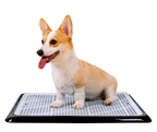 Corgi sitting on Pet Awesome black reusable dog potty tray with mesh top