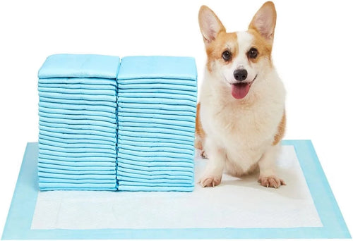 Corgi sitting next to stack of blue Pet Awesome dog pee pads for indoor training
