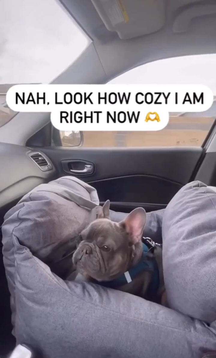 Instagram carousel