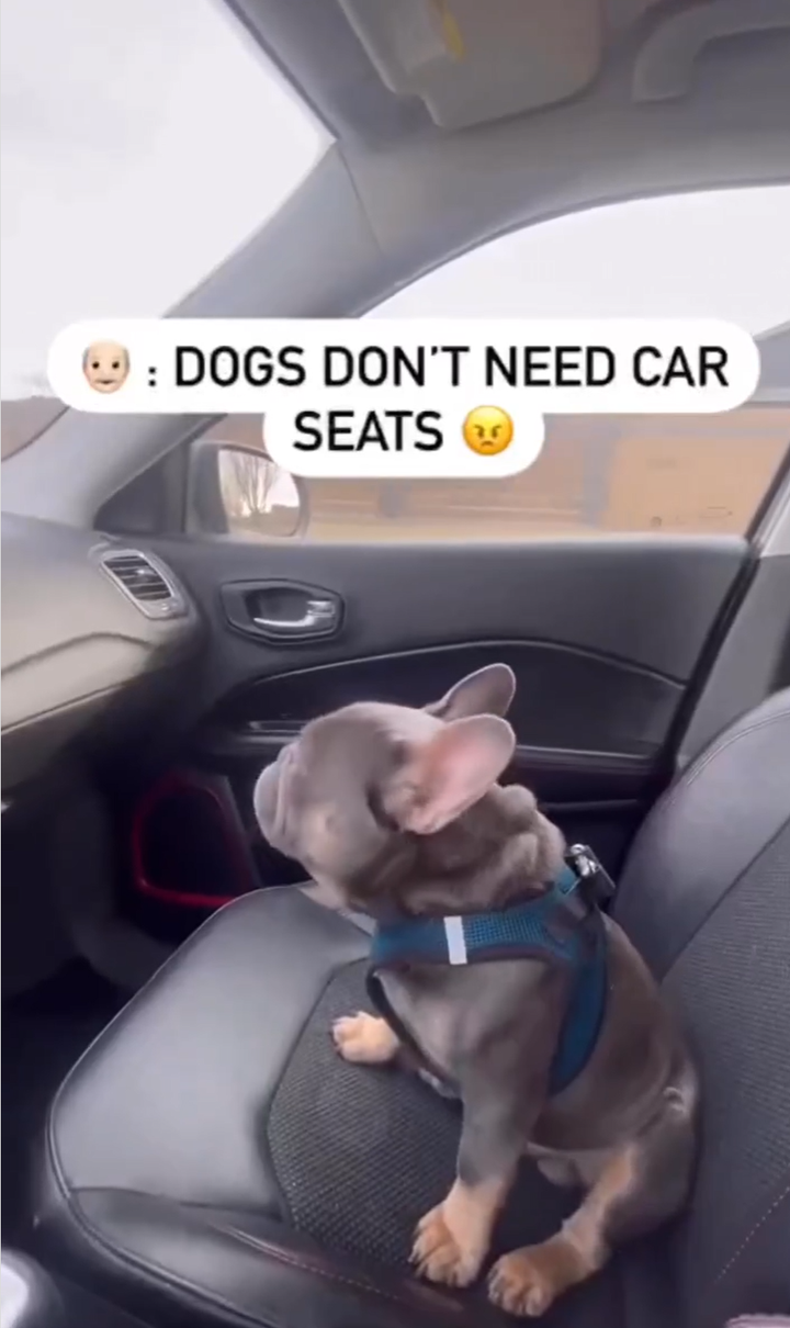 Instagram carousel