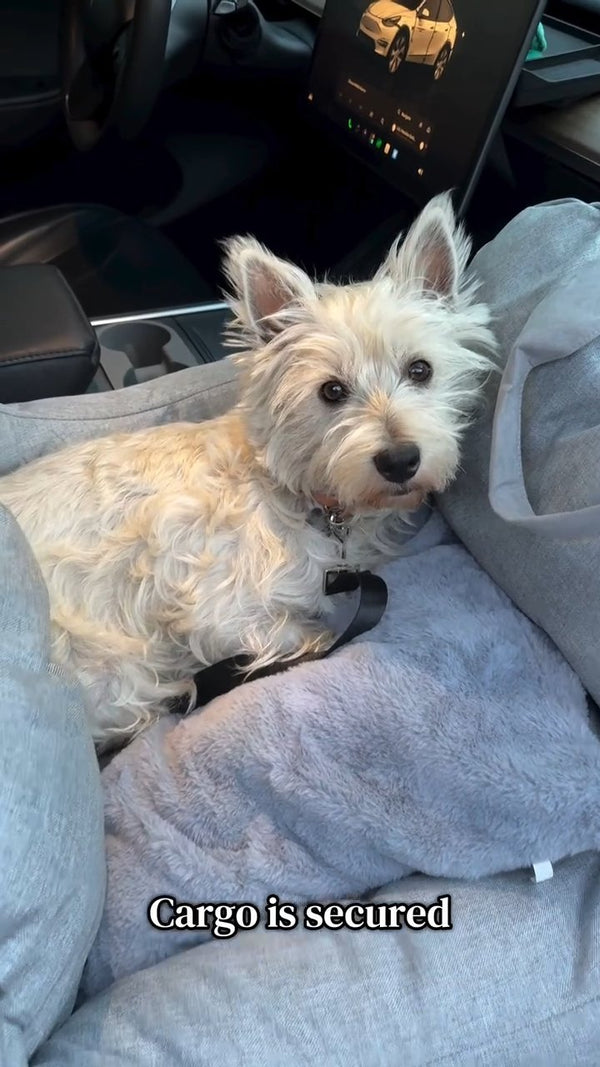 @westie.bmo