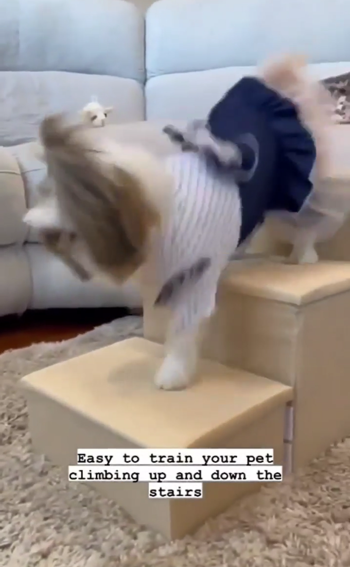 Instagram carousel
