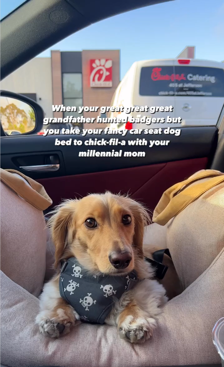 Instagram carousel