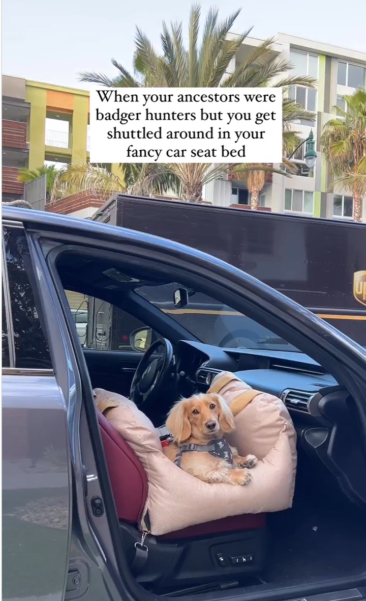 Instagram carousel