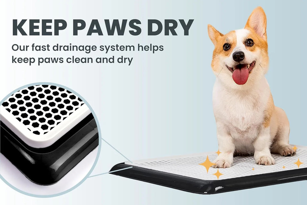Pet Awesome dog potty tray fast drainage system keeps paws clean and dry