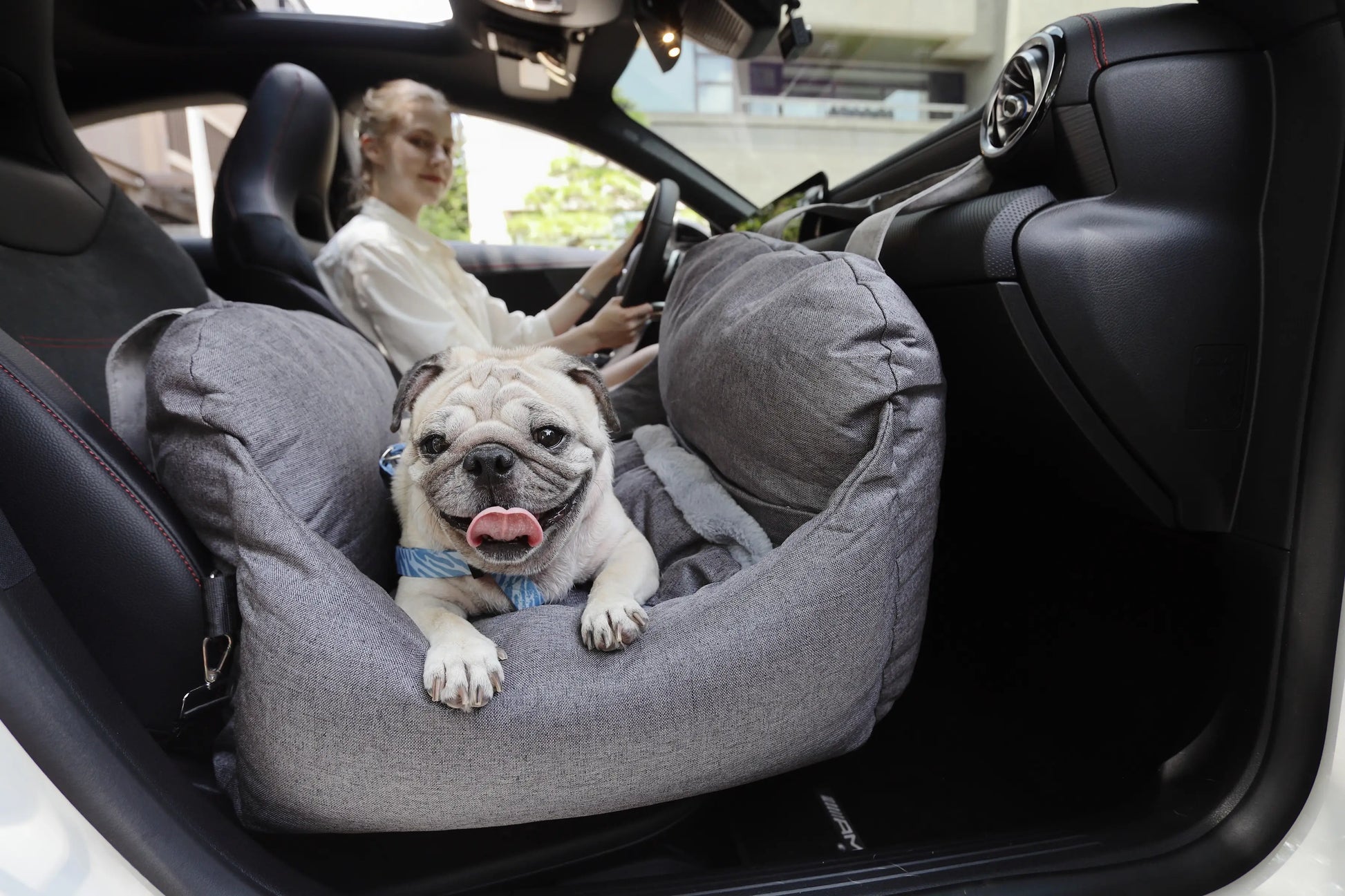 Happy pug sitting in Pet Awesome grey dog car seat in car next to driver