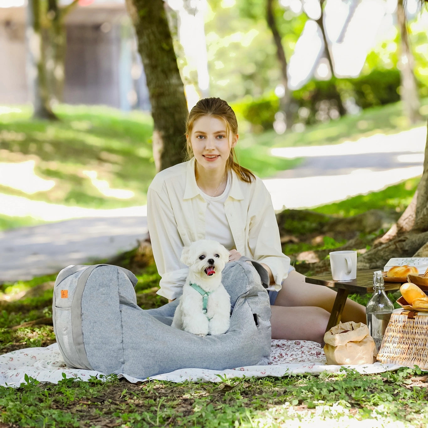 Small white dog in Pet Awesome grey dog car seat at picnic with owner outdoors