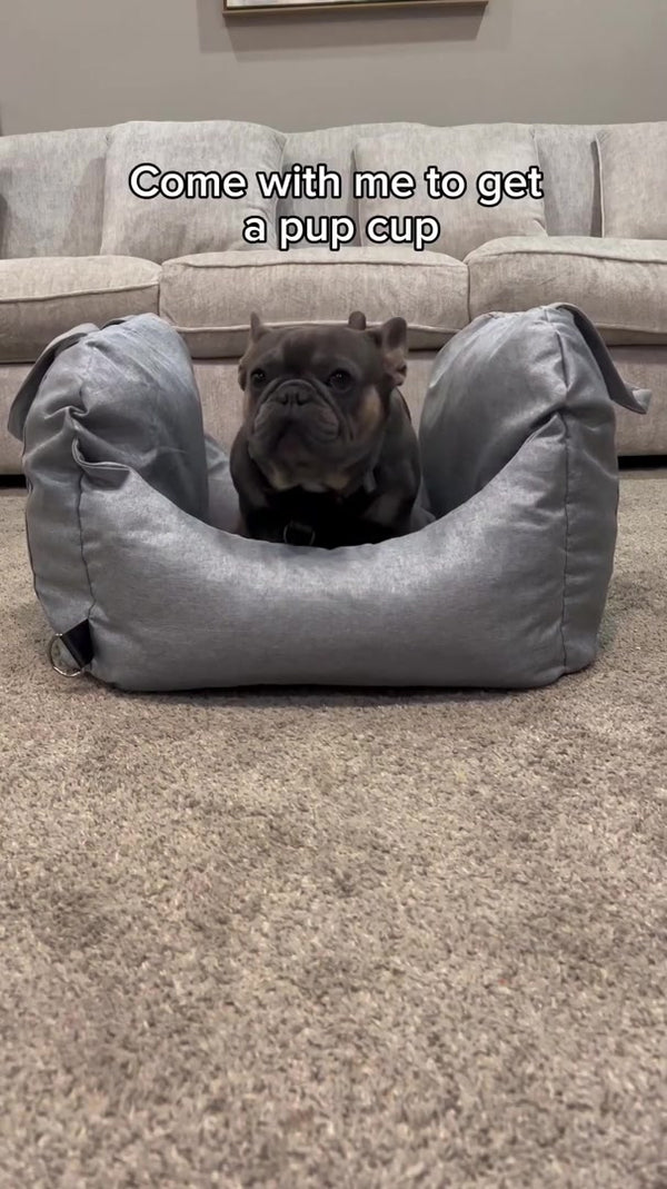 @kash.d.frenchie