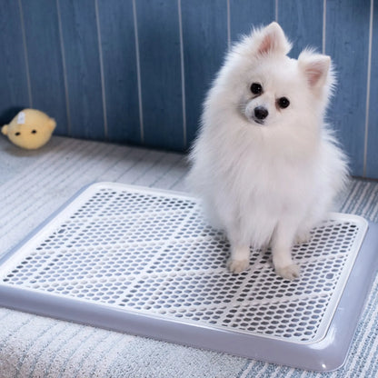 White Pomeranian using Pet Awesome indoor dog potty tray on soft rug