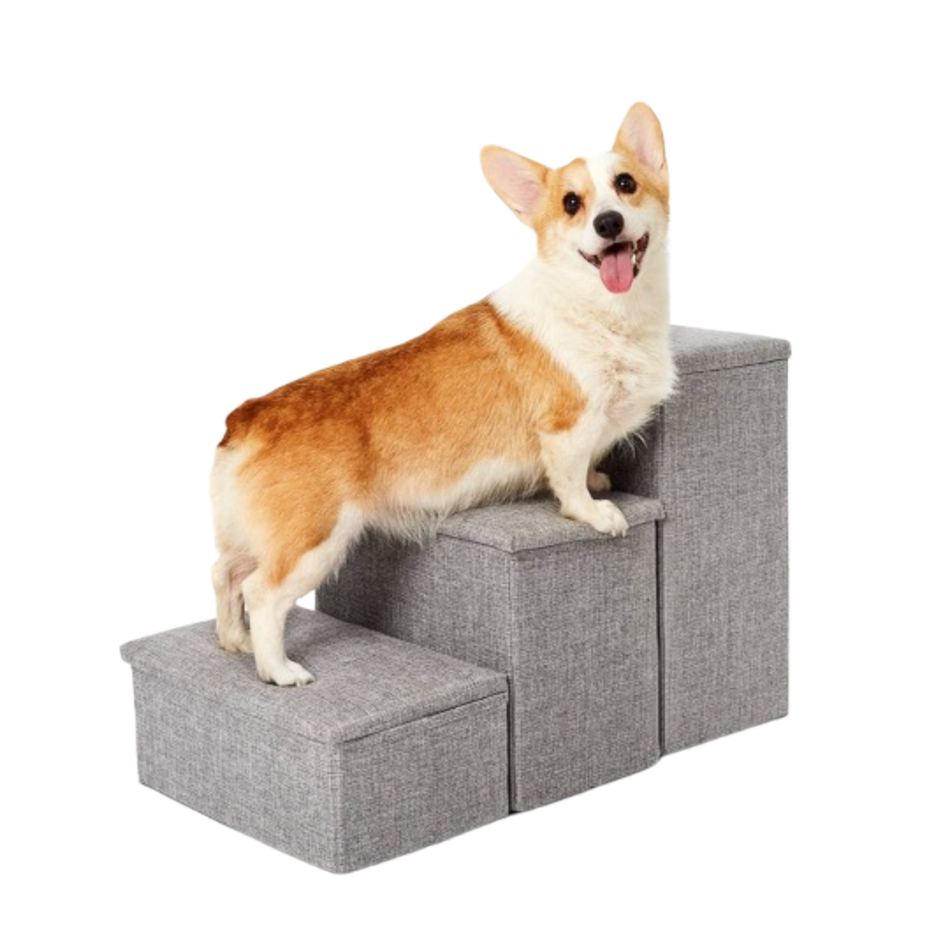 Cheap stairs for sales dogs