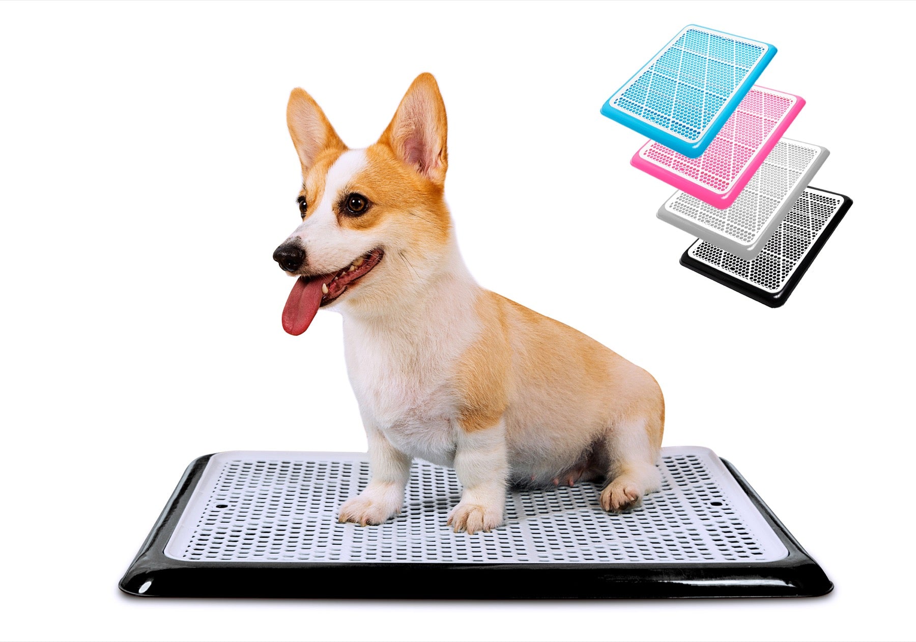 Dog Potty Tray from PET AWESOME